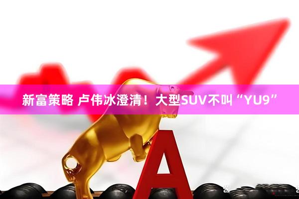 新富策略 卢伟冰澄清！大型SUV不叫“YU9”